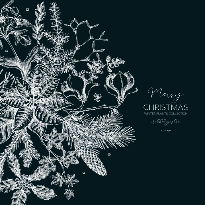 Merry Christmas card template. Evergreen plants, flower, bird sketches. Winter round design on chalkboard. Hand-drawn botanical illustrations. NOT AI generated image